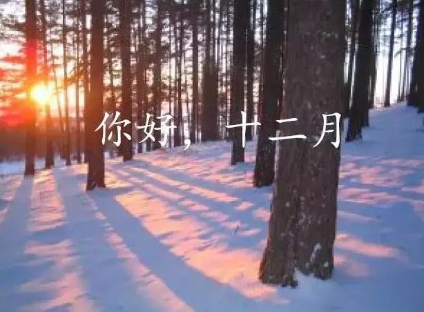 你的2016年，已經(jīng)余額不足