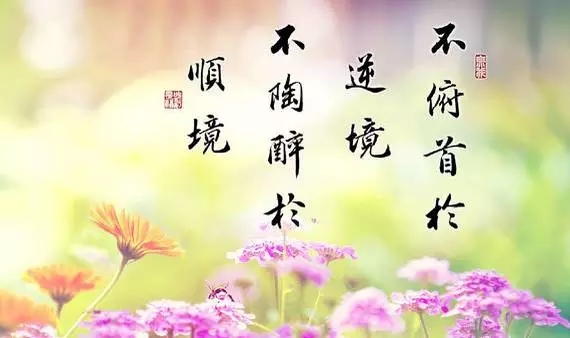 你的2016年，已經(jīng)余額不足