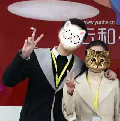 誰說程序猿找不到女朋友？這把狗糧撒的有點猝不及防！